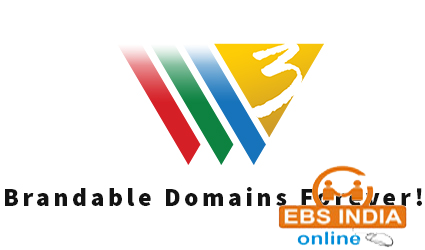 Buy Domains COM or IN for RS672 and RS440